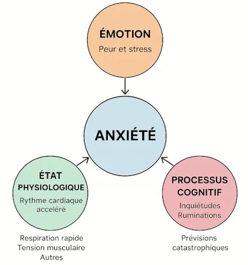 Coaching en développement personnel. L’anxiété est un mélange complexe d’émotion, de réaction corporelle et de processus cognitif