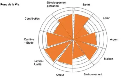 Exemple roue de la vie - utilisation en coaching
